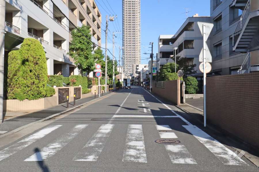 敷地南側の前面道路(西側から)