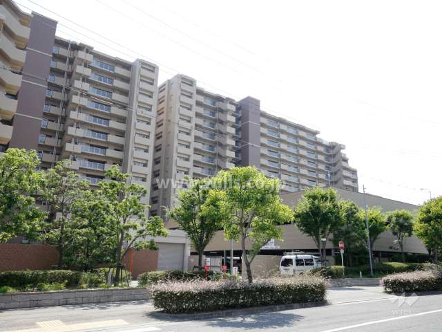 グリーンラグーナ甲子園 Ａ棟の外観（北側から）
