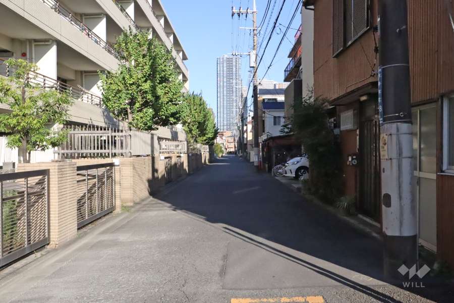 敷地南側の前面道路(西側から)
