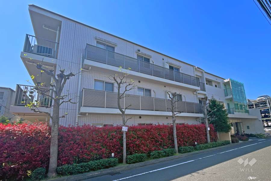 ゼファー武蔵中原レーグラーレの外観（北東側から）