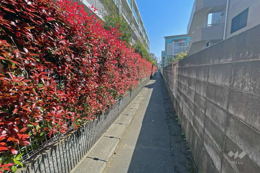 敷地の南側通路（西側から）