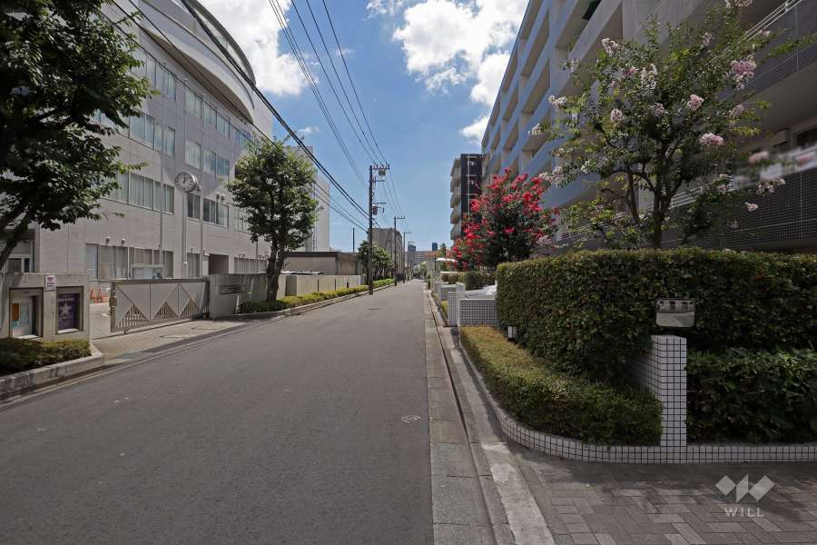 敷地東側の前面道路（北側から）