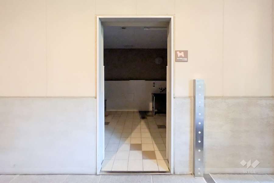 ペット足洗い場　