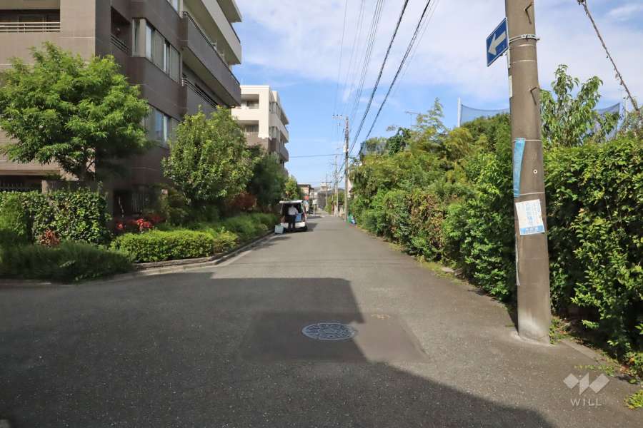 敷地東側の前面道路(南側から)