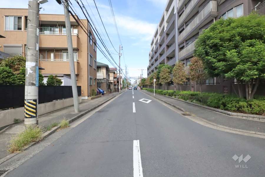 敷地西側の前面道路(南側から)