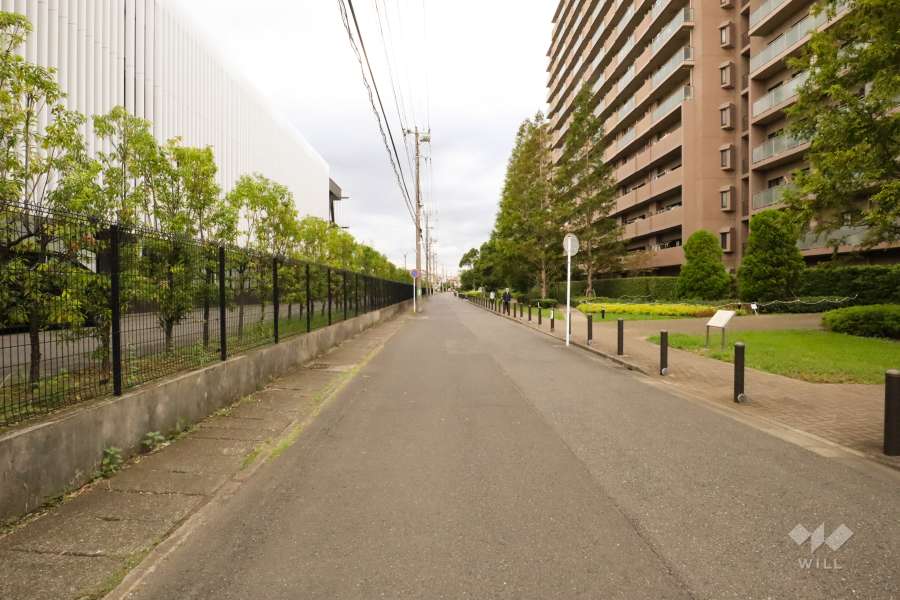 敷地西側の前面道路(南側から)
