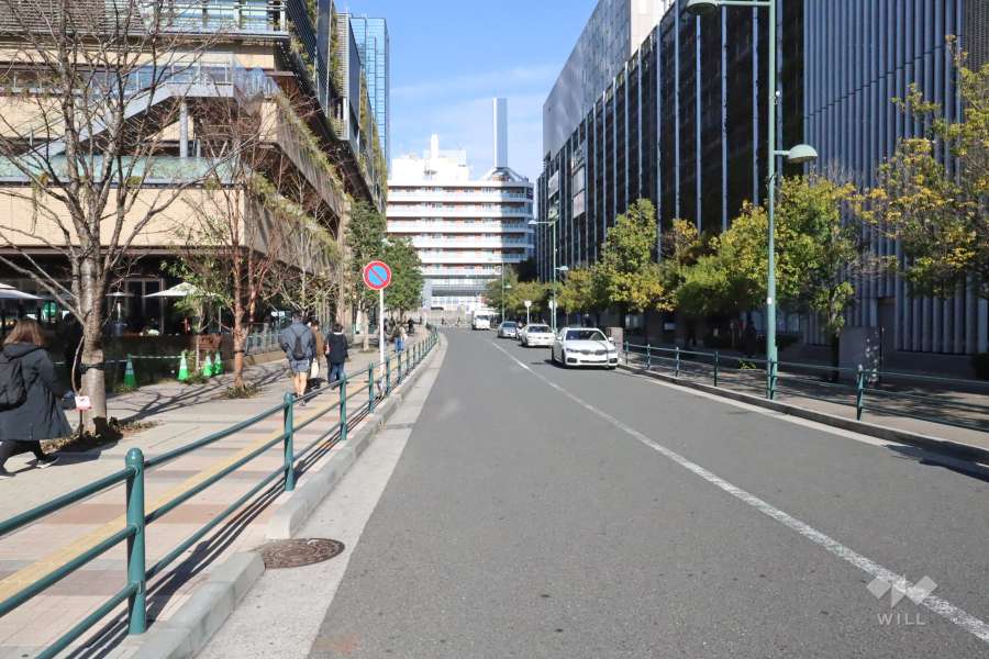敷地西側の前面道路(南側から)