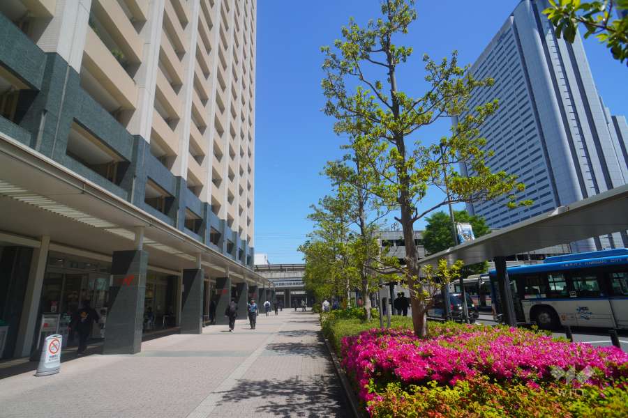 敷地南側の前面通路（西側から）