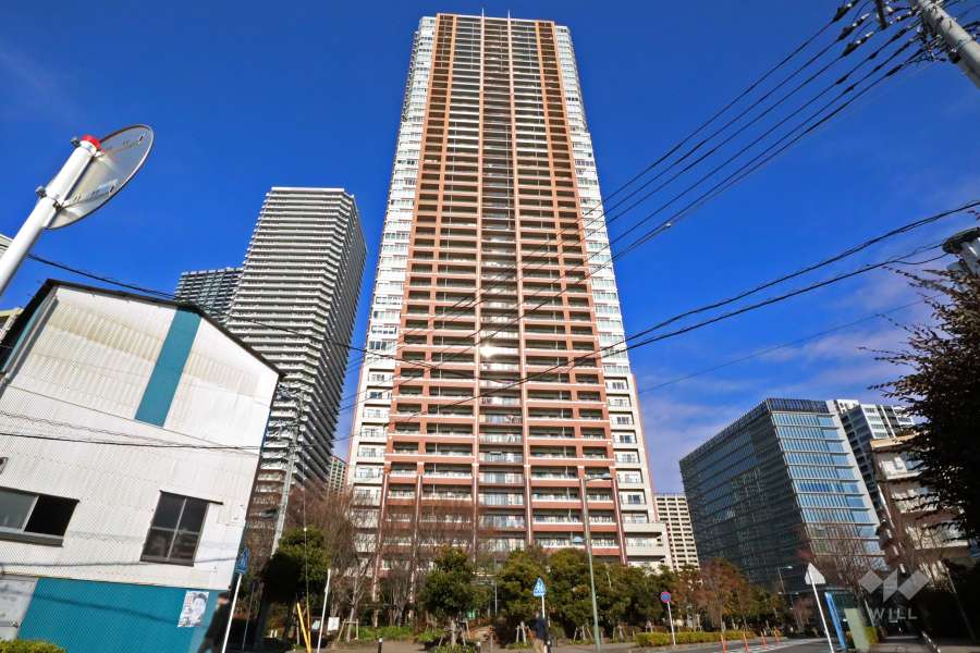 ザ・コスギタワーの外観(南東側から)