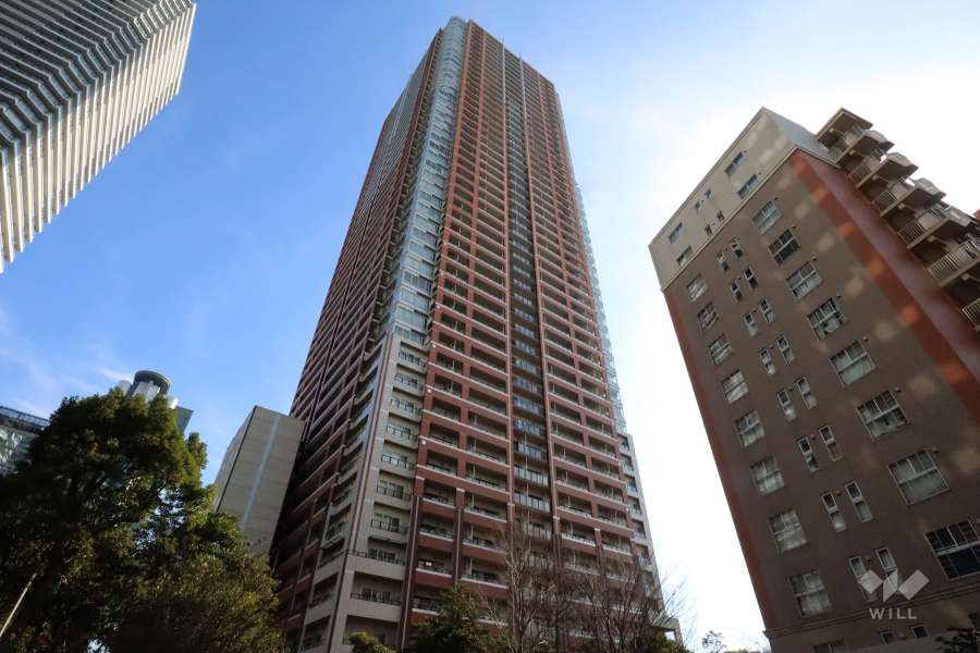 ザ・コスギタワーの外観(北西側から)