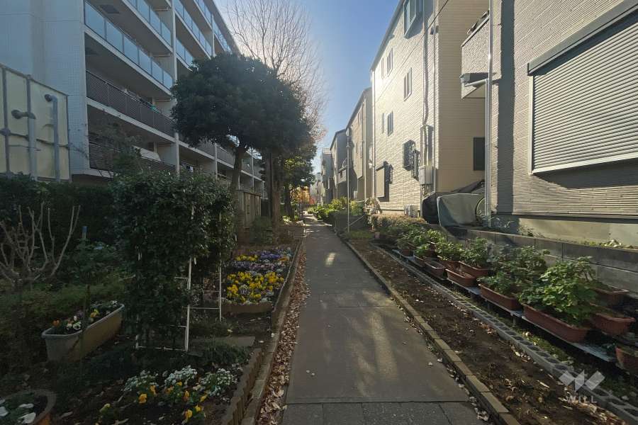 敷地の西側前面道路（北側から）