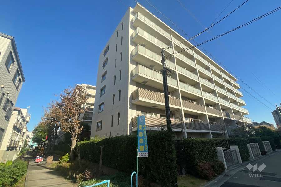 グランシーナ多摩川の外観（南西側から）