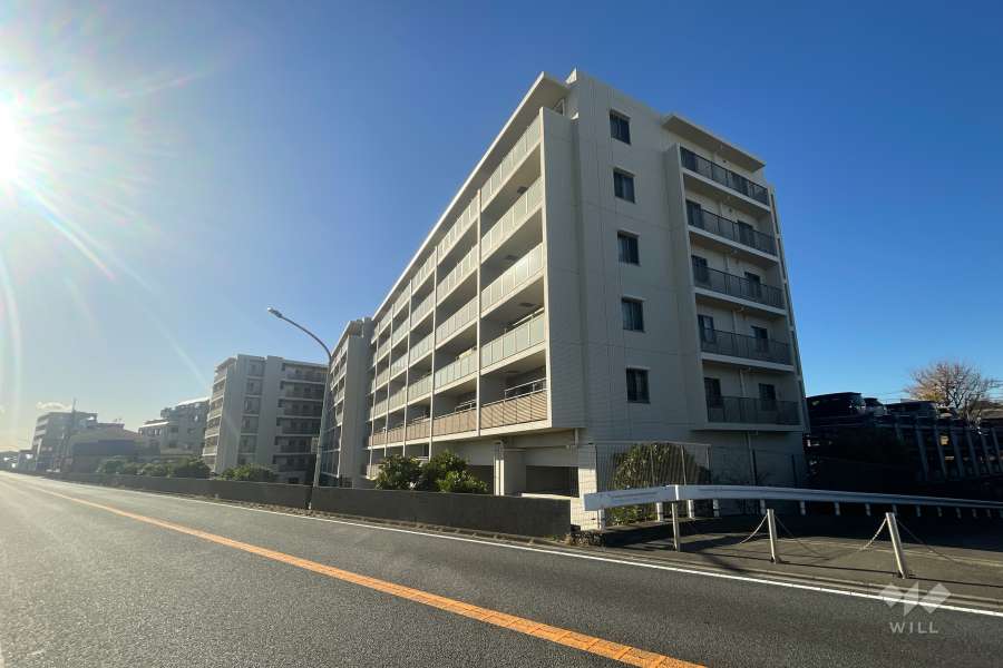 グランシーナ多摩川の外観（北側から）