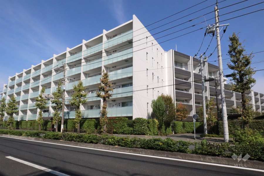 クレッセント新川崎エグゼの外観(南側から)