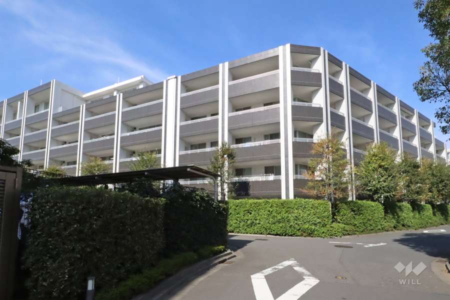 クレッセント新川崎エグゼの外観(南東側から)