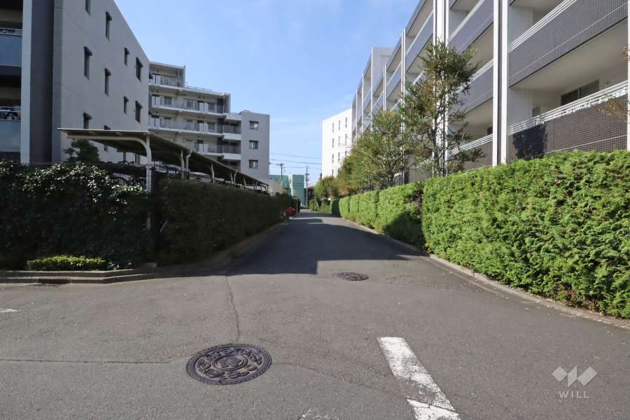 敷地南側の前面道路
