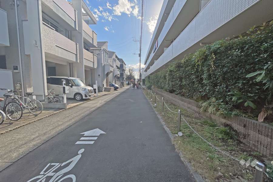 敷地の西側道路（南側から）