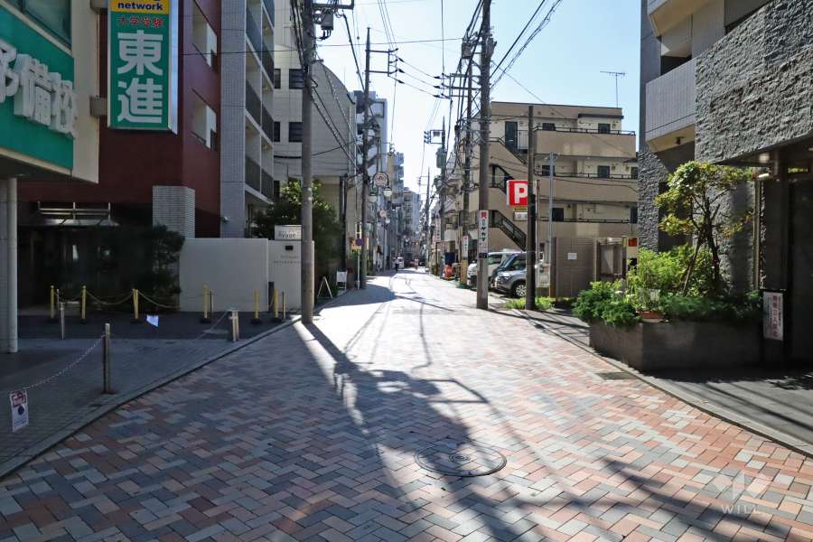 敷地東側の前面道路(北側から)