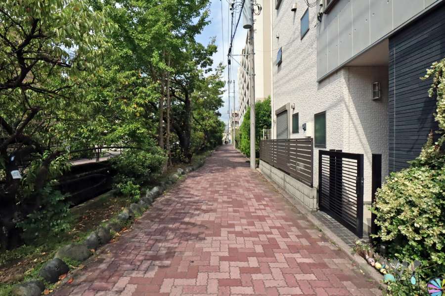 敷地西側の水路と緑道(南側から)