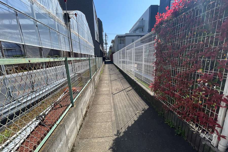敷地北側の通路（西側から）