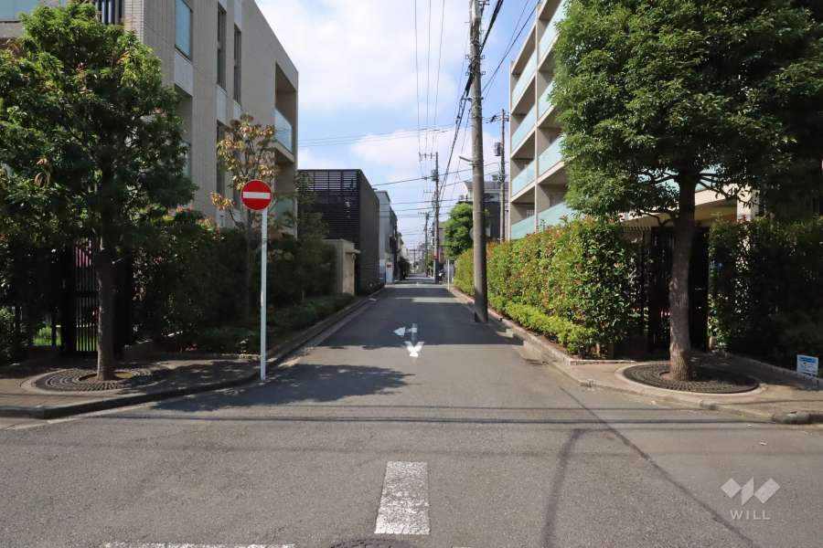 敷地北側の前面道路(東側から)