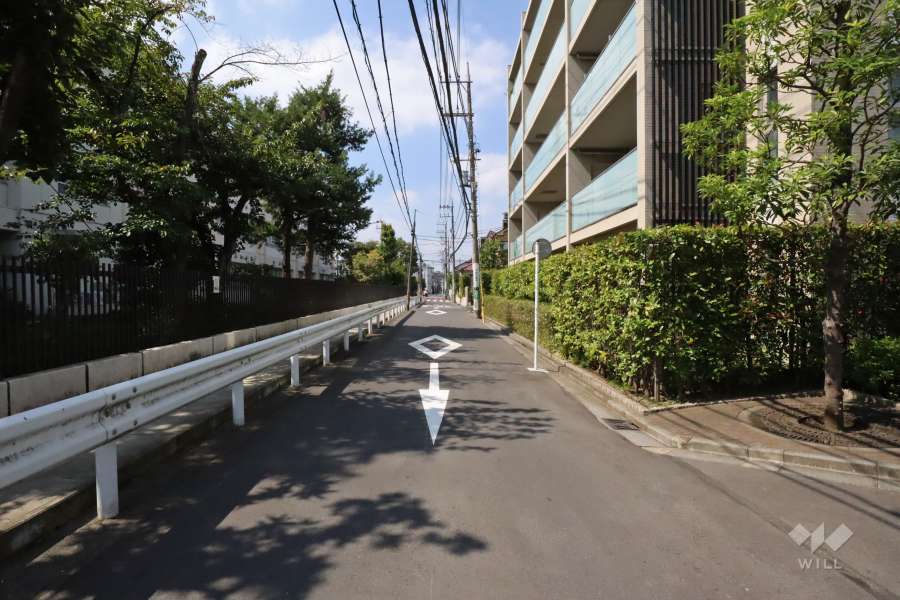敷地南側の前面道路(東側から)