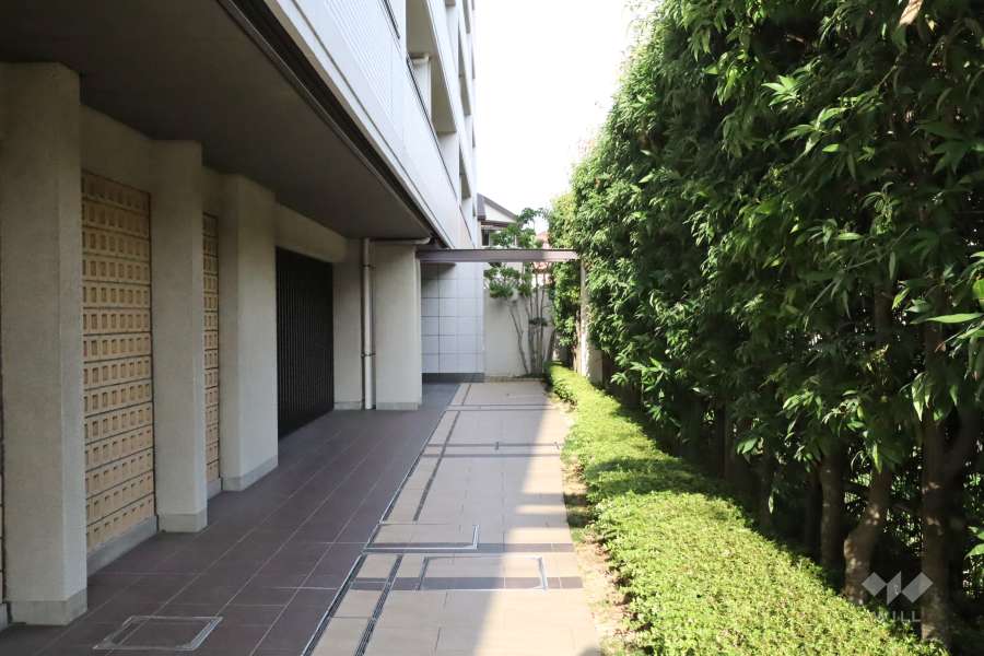 エントランスアプローチ