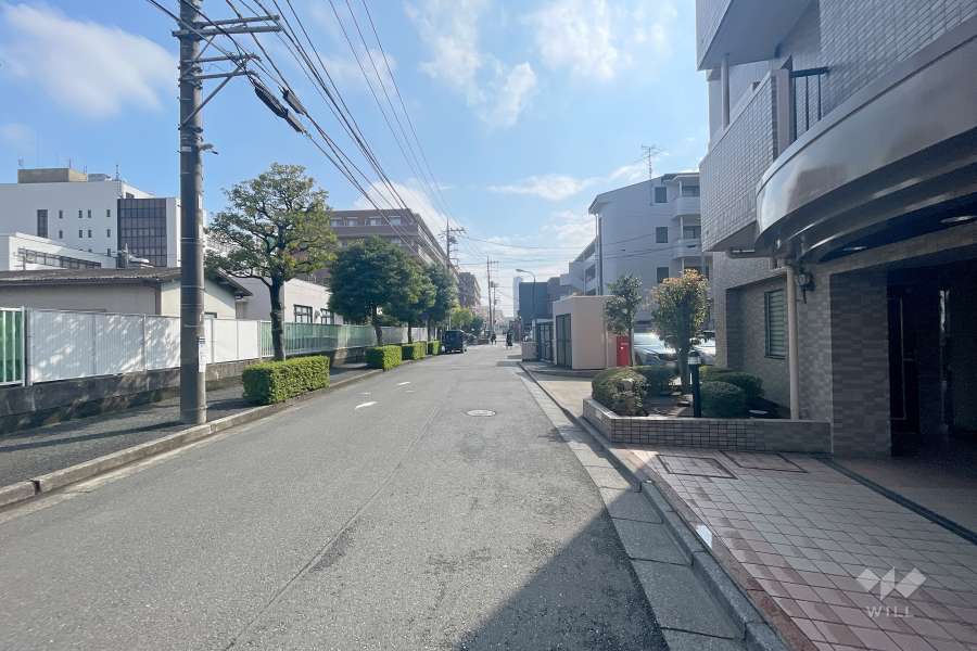 敷地西側の前面道路