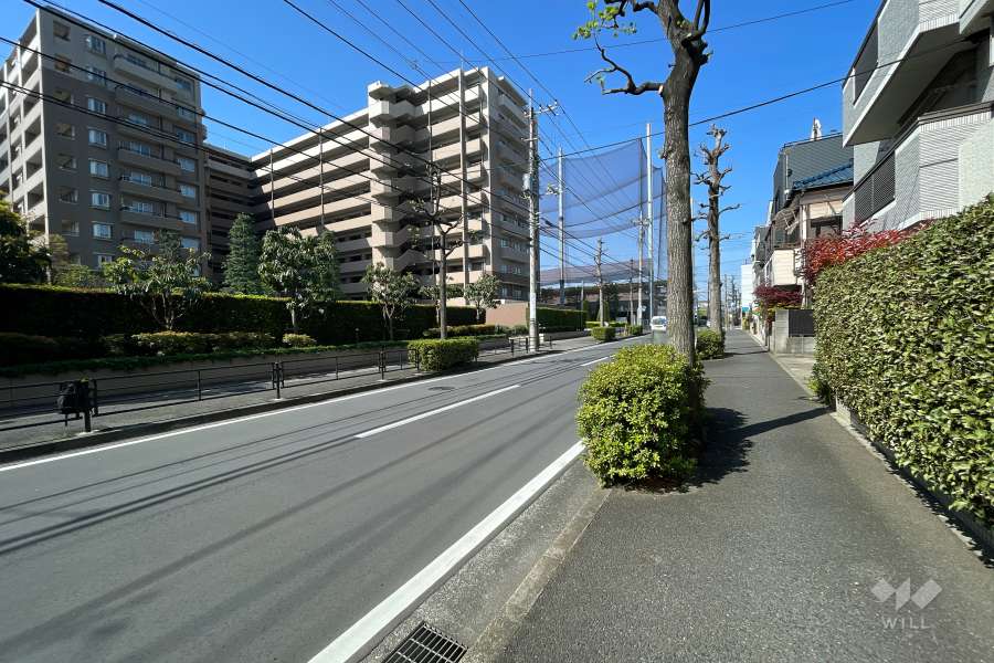 敷地南側の前面道路（東側から）