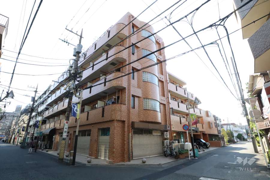 ダイアパレスステーションプラザ武蔵新城の外観(北東側から)