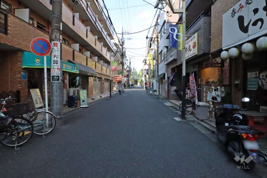 敷地東側の前面道路(南側から)
