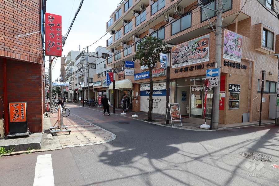 敷地北側の前面道路（西側から）