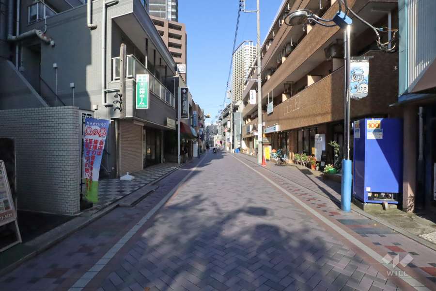 敷地南東側の前面道路(南西側から)