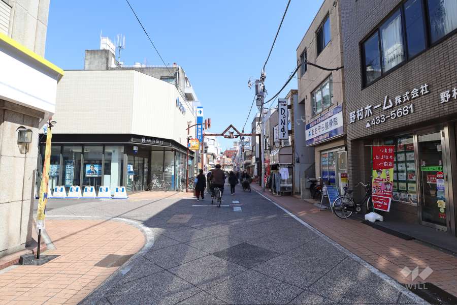 敷地北側の前面道路