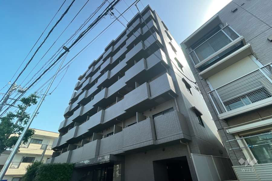 ルーブル武蔵小杉の外観（南西側から）