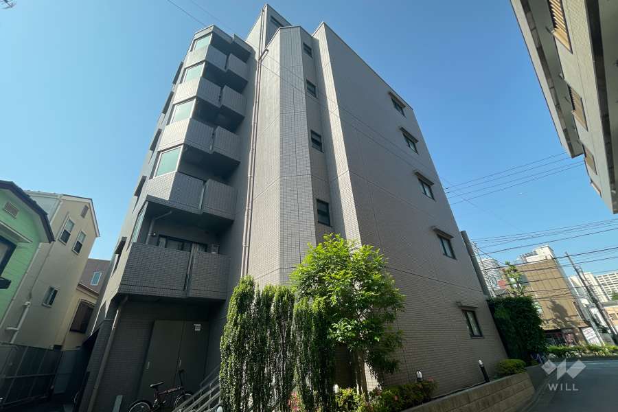 ルーブル武蔵小杉の外観（北東側から）