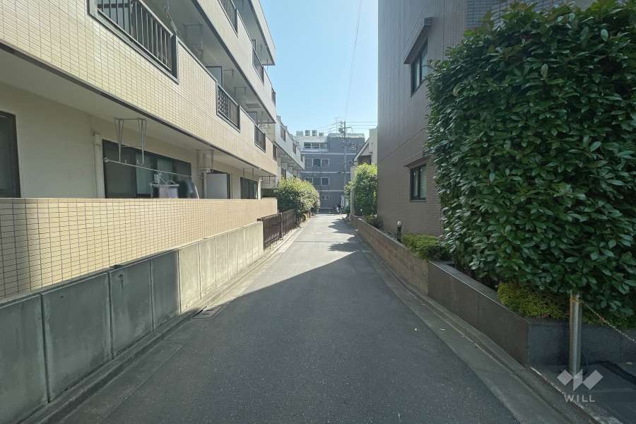 敷地北側の前面道路（西側から）