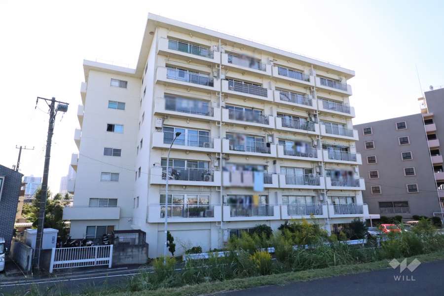 ニュー玉川マンションの外観(北東側から)