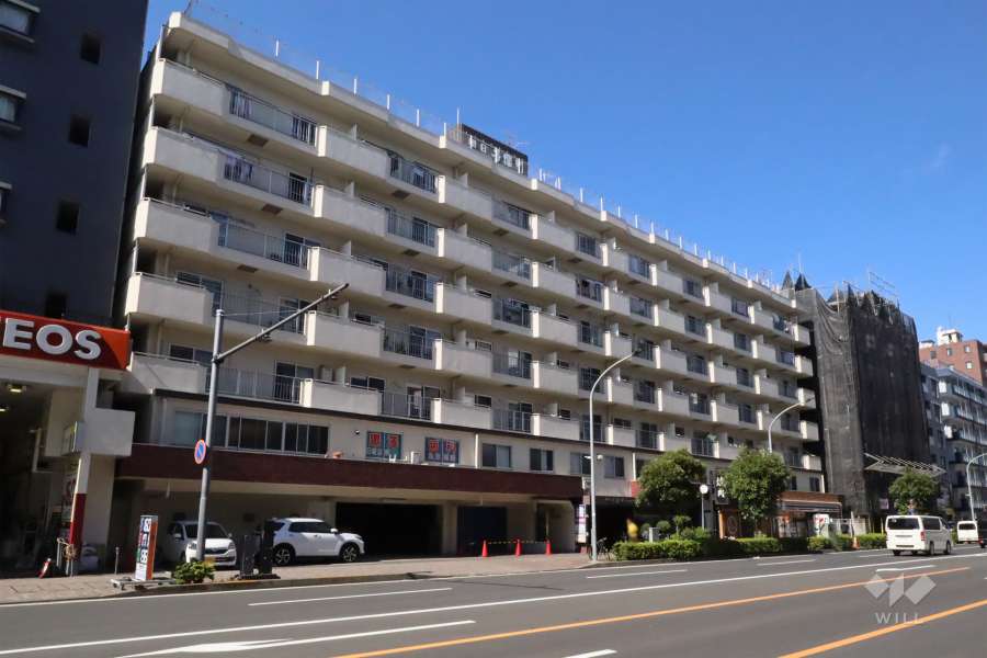 朝日多摩川マンションの外観(南東側から)