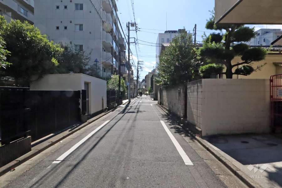 敷地西側の前面道路(北側から)