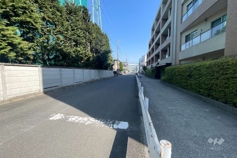 敷地西側の前面道路（南側から）