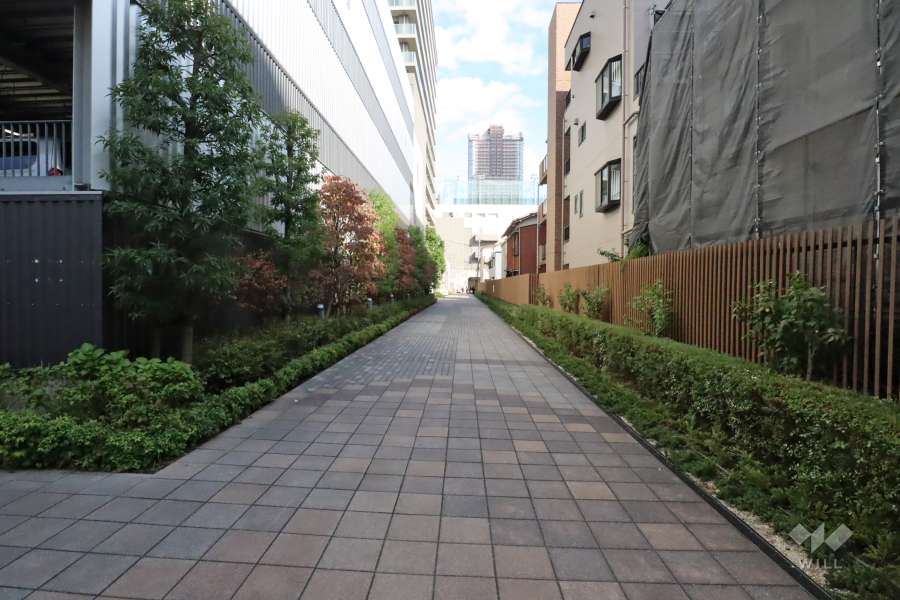 敷地南側の前面道路