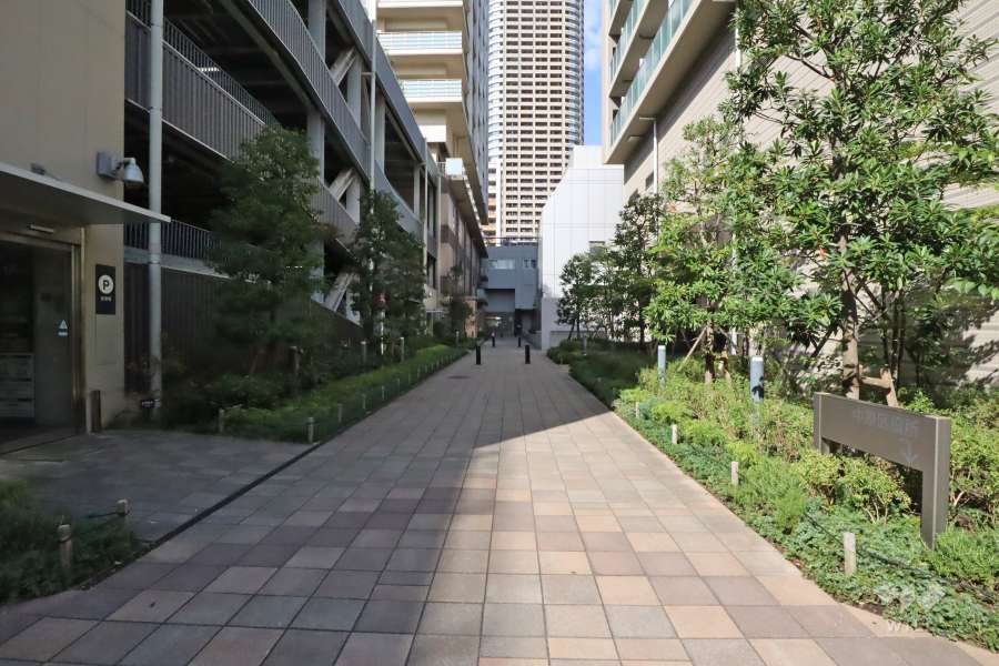 敷地東側の前面道路