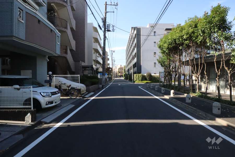 敷地南側の前面道路8東側から）