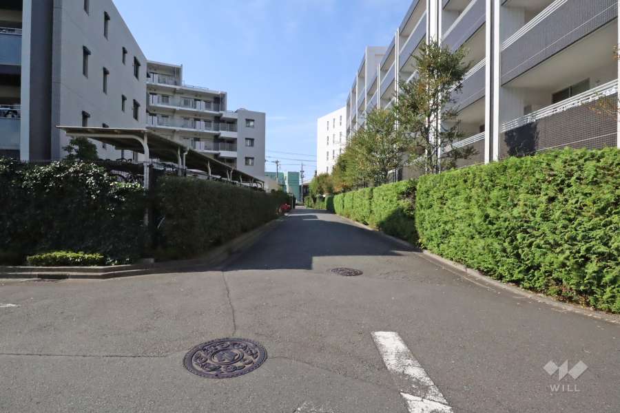 敷地北側の前面道路(東側から)