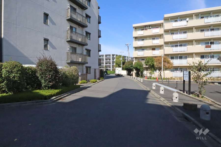 敷地東側の前面道路（南側から）