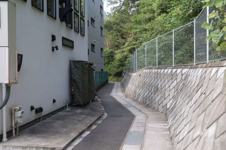 敷地東側の前面通路(南側から)