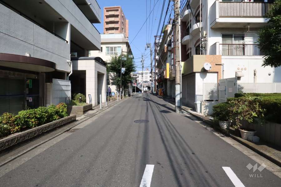 敷地東側の前面道路(南側から)
