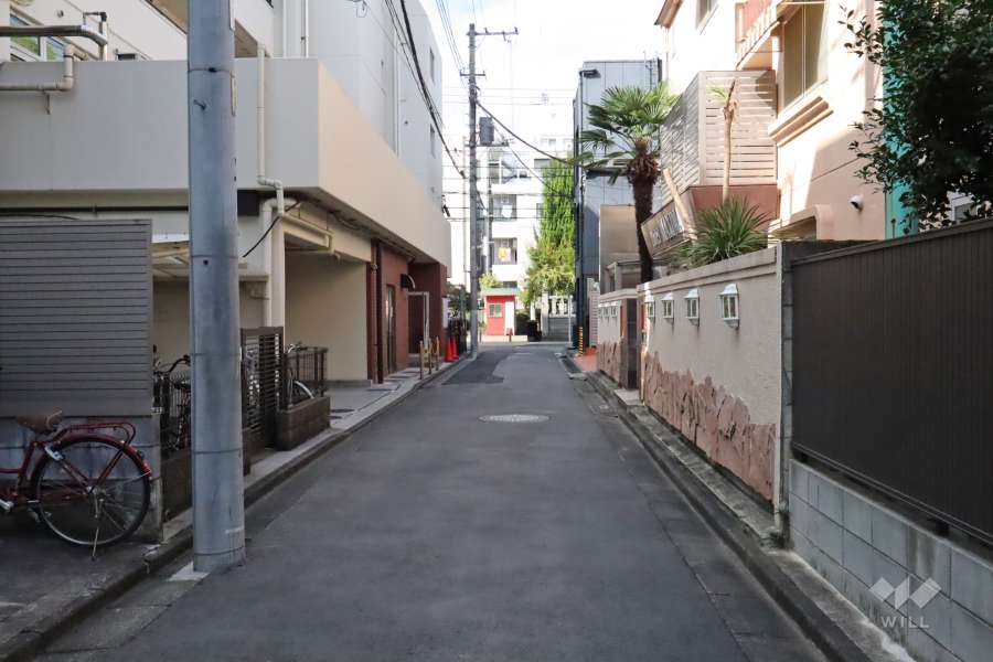 敷地北側の前面道路(東側から)