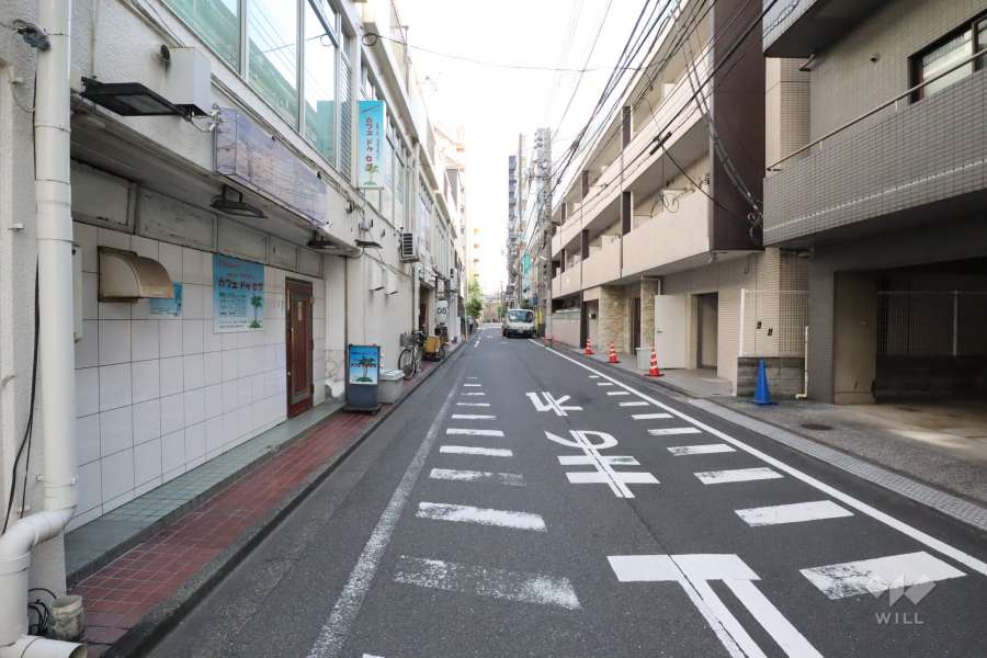 敷地南側の前面道路(西側から)